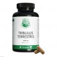 GREEN NATURALS Tribulus Terrestris 2250 mg veg.Kps