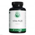 GREEN NATURALS Vital Pilze Cordyceps Reishi vegan