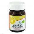 GSE Grapefruit Kern Extrakt Bio 500 mg Tabletten