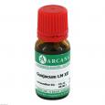 GUAJACUM LM 12 Dilution