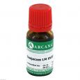 GUAJACUM LM 18 Dilution