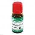 GUAJACUM LM 30 Dilution