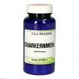 GUARKERNMEHL GPH Pulver