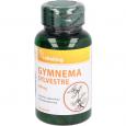 GYMNEMA Sylvestre 400 mg Kapseln