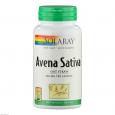 HAFER AVENA sativa Solaray Kapseln