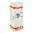 HAMAMELIS D 1 Dilution