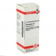 HAMAMELIS D 6 Dilution