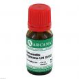 HAMAMELIS VIRGINIANA LM 18 Dilution