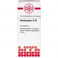 HAPLOPAPPUS D 20 Globuli Ind.Fert.