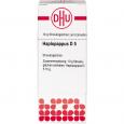 HAPLOPAPPUS D 5 Globuli Ind.Fert.