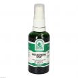HASELNUSSKERNE Spray