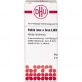 HEKLA lava e lava LM XVIII Dilution