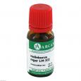 HELLEBORUS NIGER LM 12 Dilution