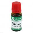 HEPAR SULFURIS LM 12 Dilution