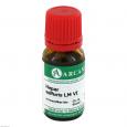 HEPAR SULFURIS LM 6 Dilution