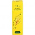 HEYBEE Propolis Nasenspray