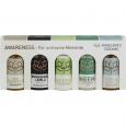 HIMALAYA'S Dreams AWARENESS 5x20 ml Kombipackung
