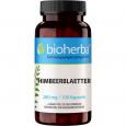HIMBEERBLÄTTER 280 mg Kapseln