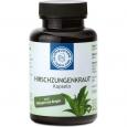 HIRSCHZUNGENKRAUT Kapseln