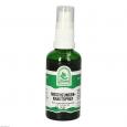 HIRSCHZUNGENKRAUT Spray
