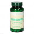 HOLUNDERBEER 350 mg Bios Kapseln