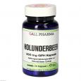 HOLUNDERBEER 350 mg GPH Kapseln