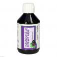 HOLUNDERBEEREXTRAKT Sirup