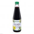 HOLUNDERSAFT Bio Schoenenberger