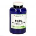 HOODIA 350 mg GPH Kapseln