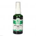 HÜHNERBLUTSTENGEL Spray