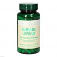 HUMULUS Lupulus 125 mg Bios Kapseln