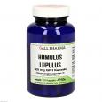 HUMULUS Lupulus 125 mg GPH Kapseln