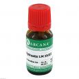 HYDRASTIS LM 18 Dilution