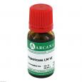 HYPERICUM LM 6 Dilution