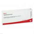 HYPOPHYSIS GL D 15 Ampullen