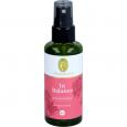 IN BALANCE Raumspray Bio