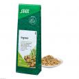 INGWER GEWÜRZTEE Zingiber officinale Bio Salus