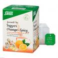 INGWER ORANGE Spicy Tee Salus Filterbeutel