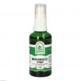 INGWERWURZEL Spray