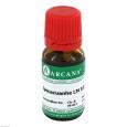 IPECACUANHA LM 12 Dilution