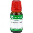 IRIS VERSICOLOR LM 23 Dilution