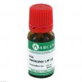 IRIS VERSICOLOR LM 6 Dilution