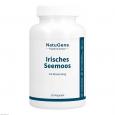 IRISCHES Seemoos mit Blasentang Kapseln