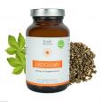 JIAOGULAN EXTRAKT 930 mg Kapseln