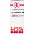 JUSTICIA adhatoda C 200 Globuli
