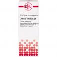 JUSTICIA adhatoda D 4 Dilution