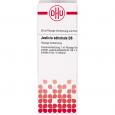 JUSTICIA adhatoda D 6 Dilution