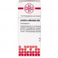 JUSTICIA adhatoda D 6 Globuli