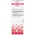 KALIUM ARSENICOSUM D 12 Dilution