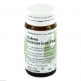 KALIUM BICHROMICUM PHCP Globuli